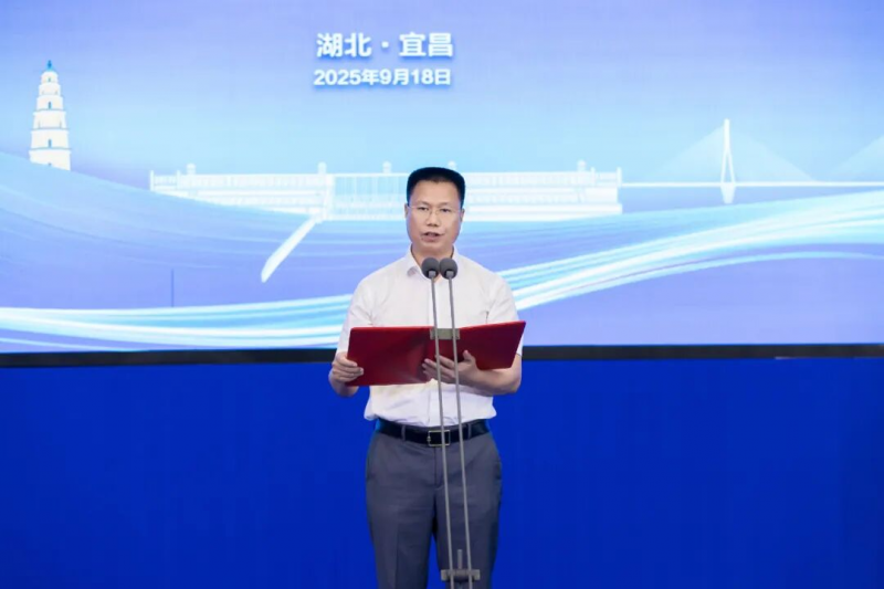 图片29