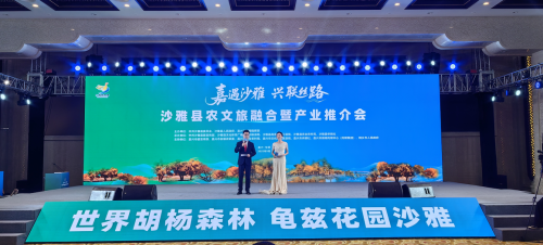 图片37