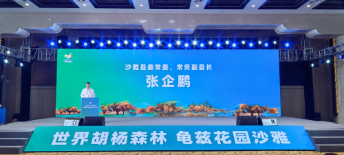 图片40