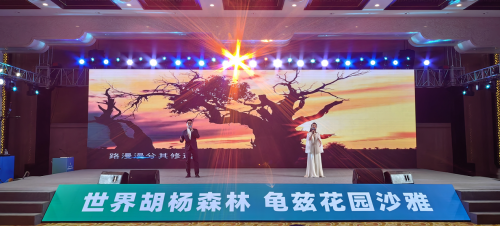 图片41