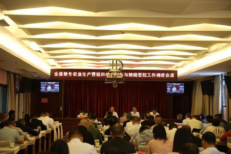 图片28