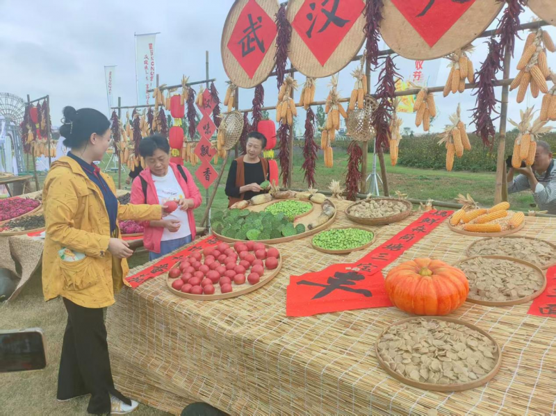 在主会场核心区，“武汉丰收了”三大晒秋场景成为市民打卡热点