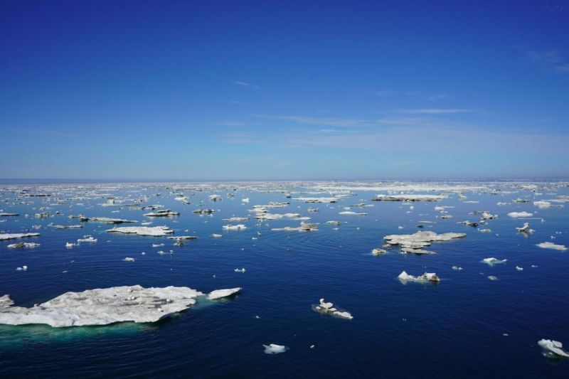 这是2023年7月25日从“雪龙2”号极地科考破冰船拍摄的北极圈内的浮冰。新华社记者 魏弘毅 摄