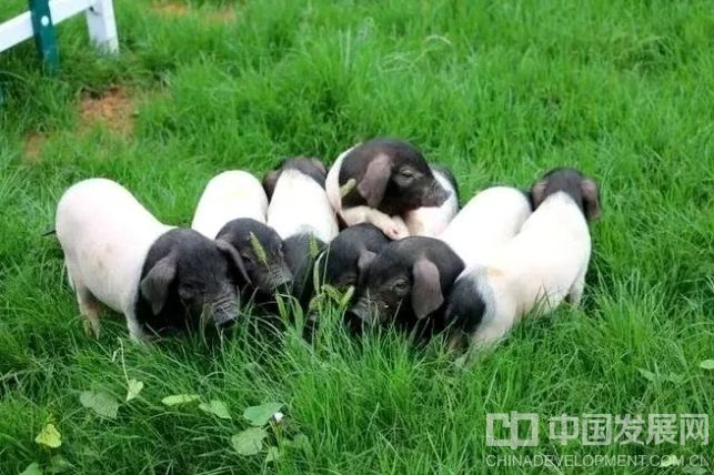 微信截图_20250927160042