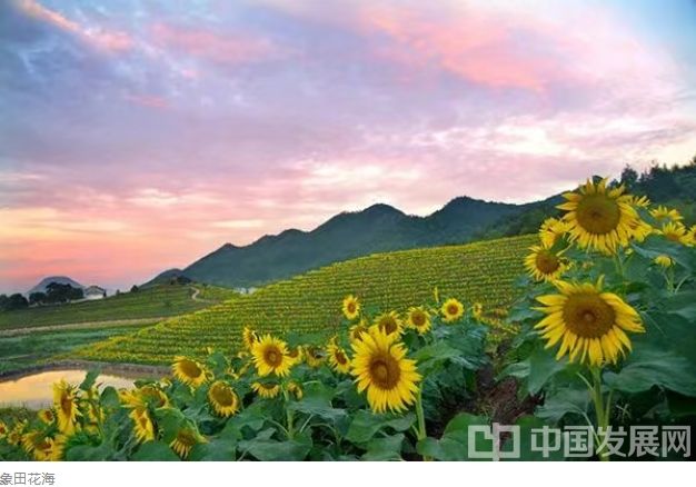 微信截图_20250927160315