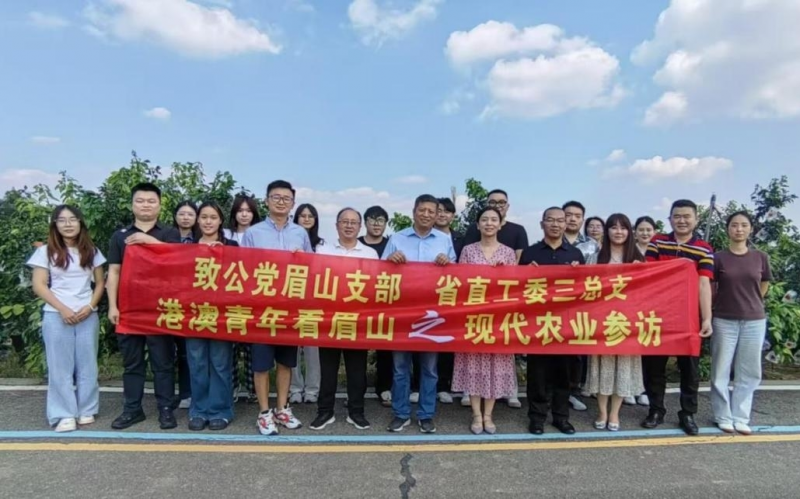 图片30