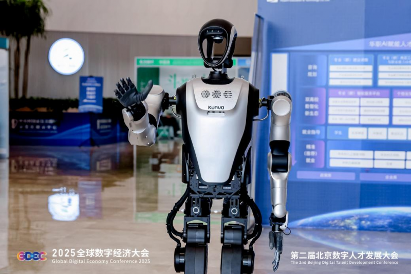图片15