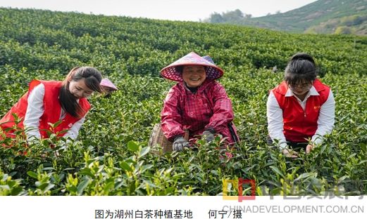 微信截图_20251013100925