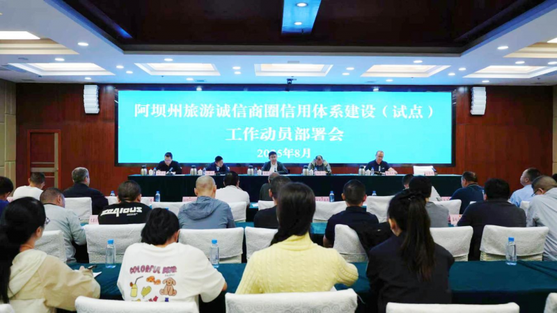 图片8