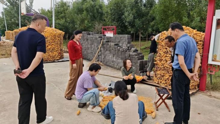 河南台前县龙翔街道： 网格织密防护网 代表护航蓝天净