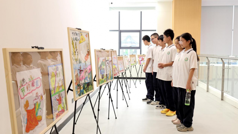 图片5