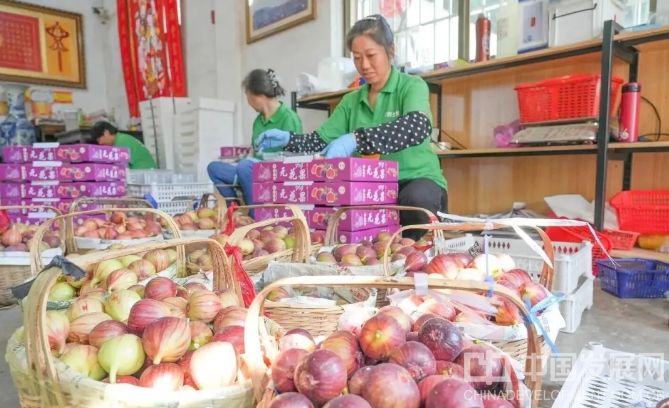 微信截图_20251019154546