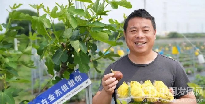 微信截图_20251019154558