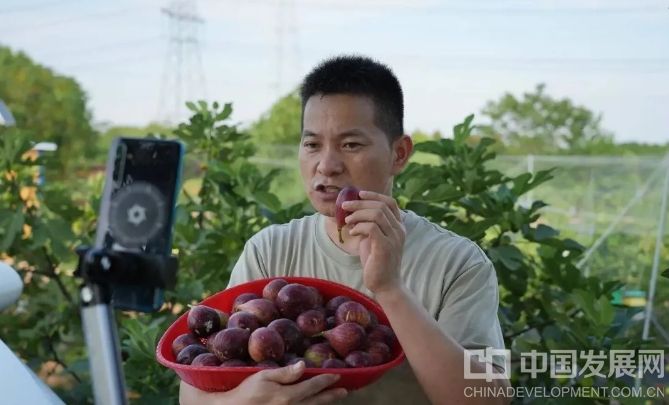 微信截图_20251019154608