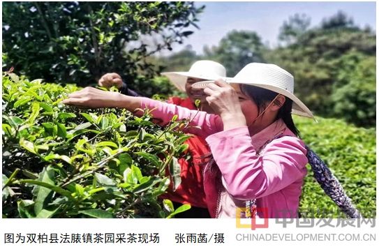 微信截图_20251021104627