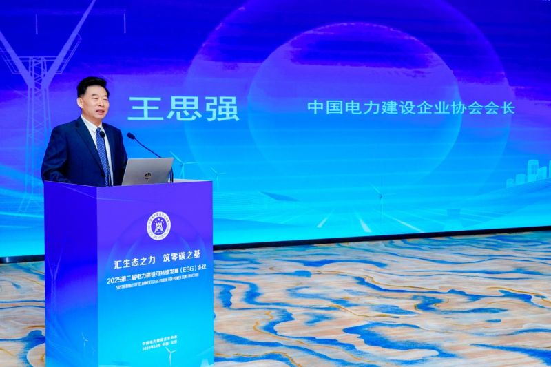 中国电力建设企业协会会长王思强致辞