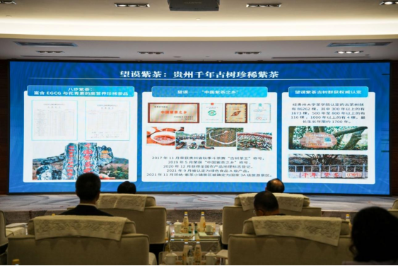 图片7