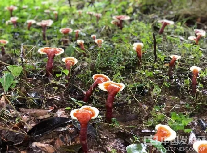 微信截图_20251022125548