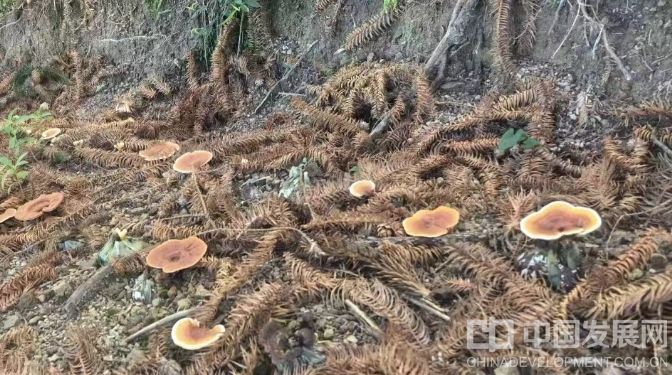 微信截图_20251022125538