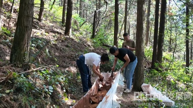 微信截图_20251022125614