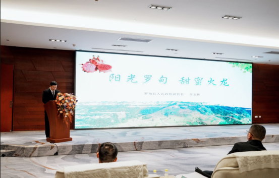 图片21