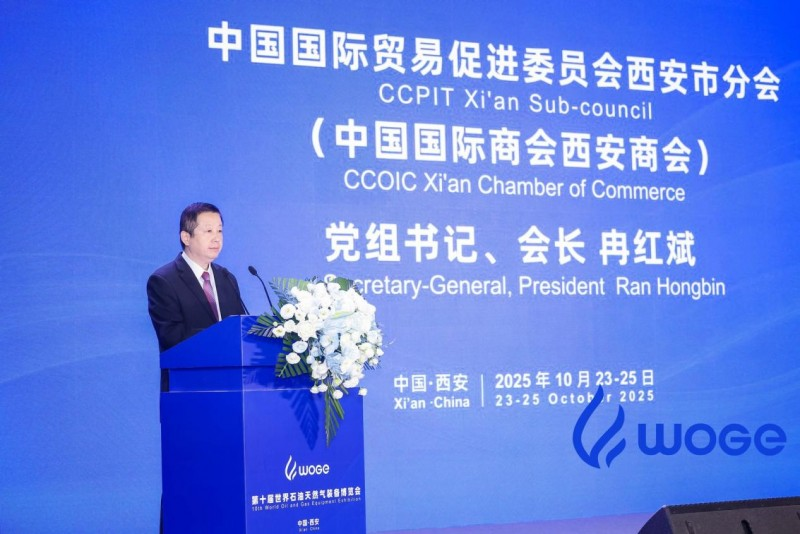图片14