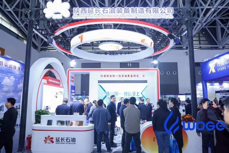 图片15