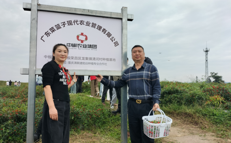 图片21