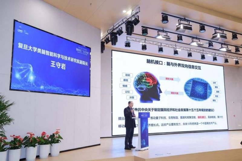 复旦大学类脑智能研究院副院长王守岩在活动上发言。