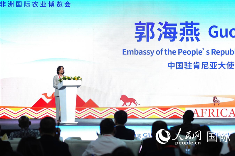 中国驻肯尼亚大使郭海燕出席开幕式并致辞。人民网记者黄炜鑫摄
