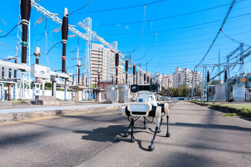 国网上海超高压公司应用“天枢”智能巡检机器狗在进博会重要保电变电站开展户外设备巡视。