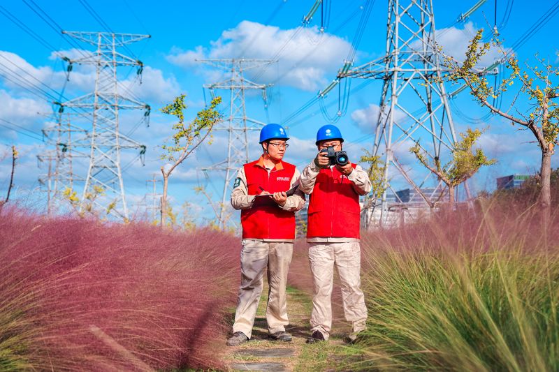 国网上海超高压公司输电运维人员对进博保电重要输电线路开展全面巡视。