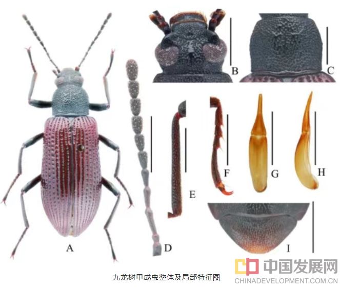 微信截图_20251102181301