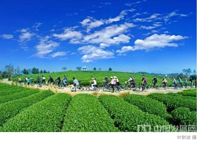 微信截图_20251104110857