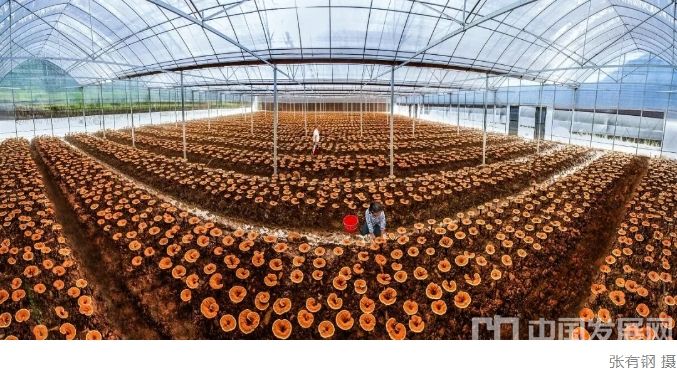 微信截图_20251104110928