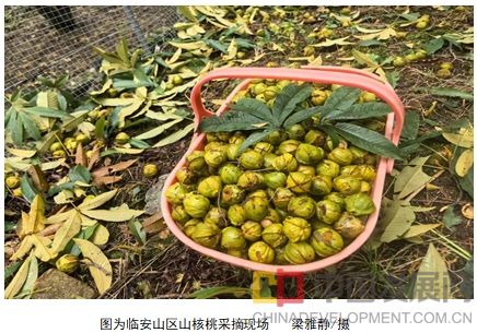 微信截图_20251104111508