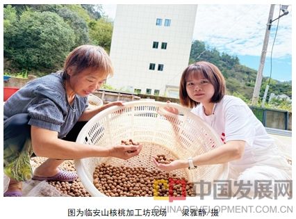 微信截图_20251104111519