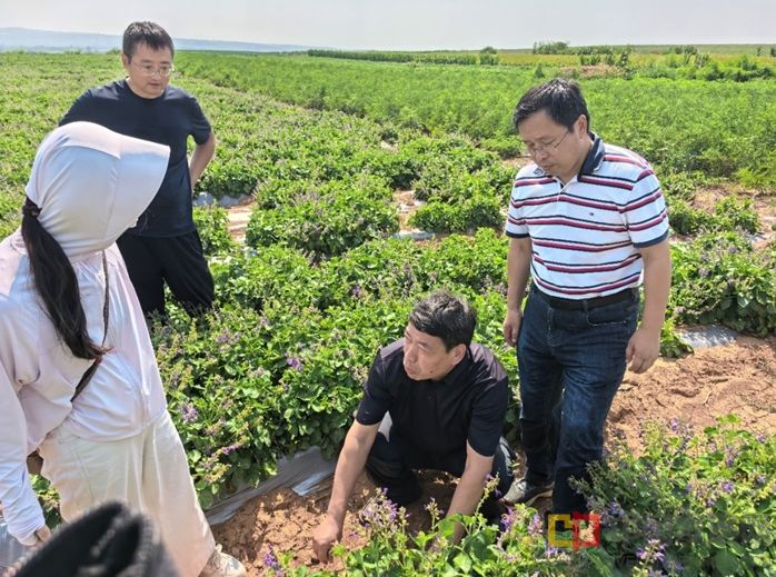 微信截图_20251104115415