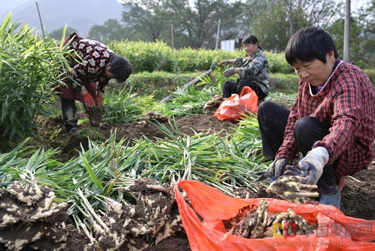 微信截图_20251106113935