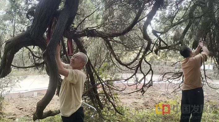 微信截图_20251107123319