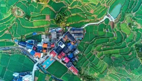 微信截图_20251128110728