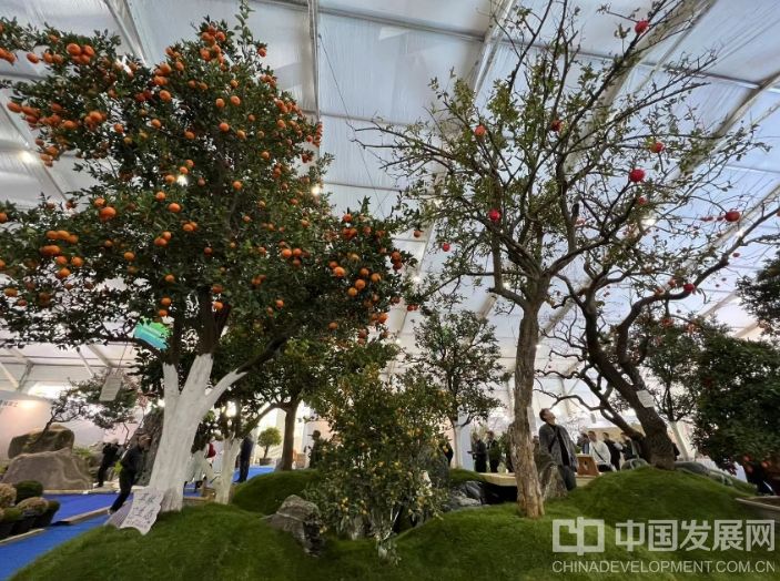 微信截图_20251128140525