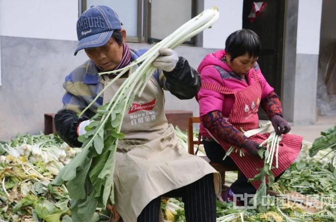 微信截图_20251201130934