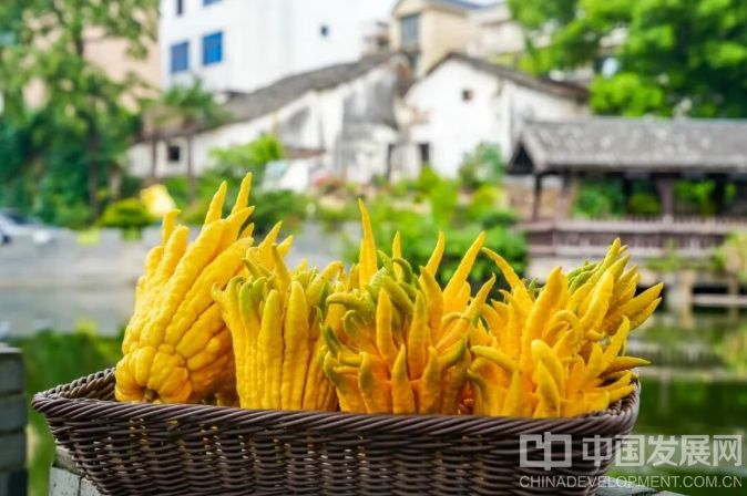 微信截图_20251202095225