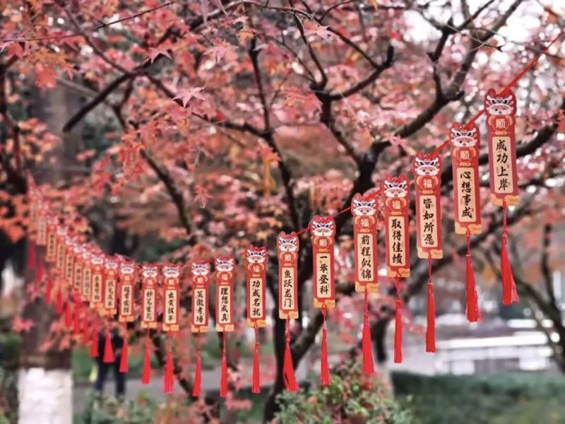 金外别样祝福送“首考”