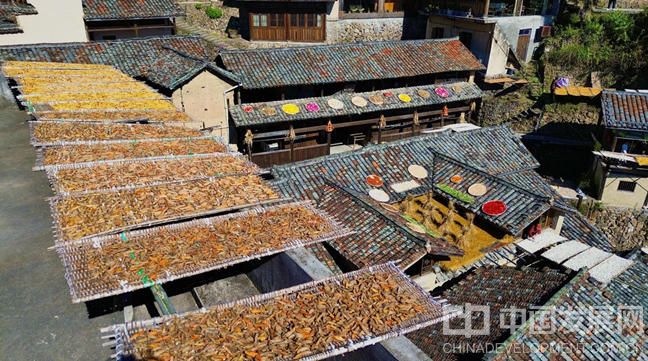 片区组团核心村松阳县四都乡陈家铺秋季独特景观