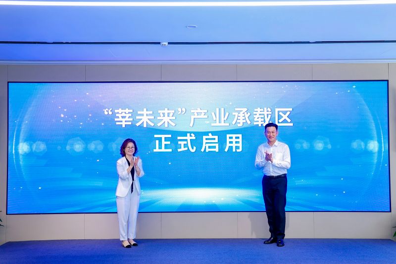 闵行莘庄：从“交通节点”迈向“价值节点”，书写中部焕新“莘”答卷