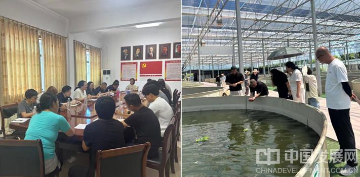 7月15日,东阳市农普办在林头村讨论试点方案,调研农业产业