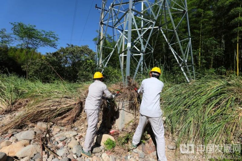 8月26日，国网金华婺城供电分公司工作人员来到沙畈水库临近线路，清理杆塔根部堆积物，消除积水隐患。（许雅琪 摄）
