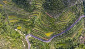 “红土地”长出“绿产业” 山西繁峙设施农业铺就老区致富路